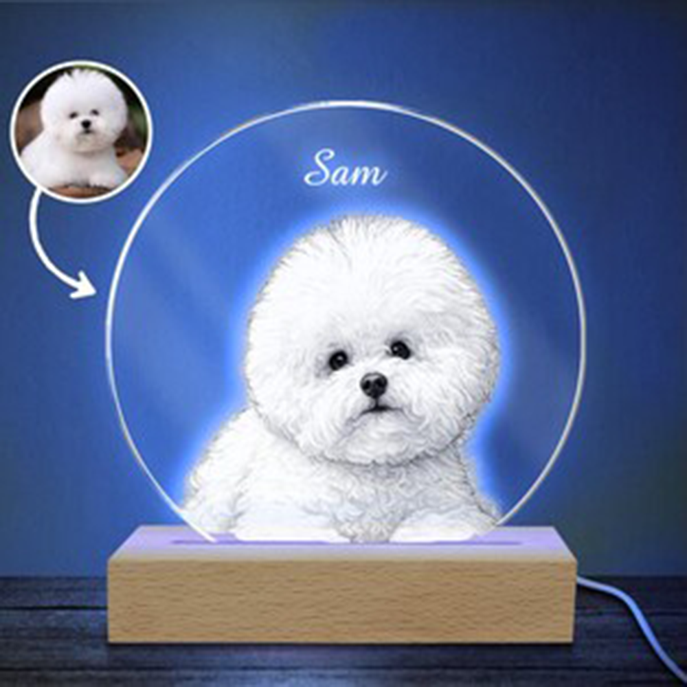 Unique Lighting Decor - Pet Portrait Personalized LED Night Light