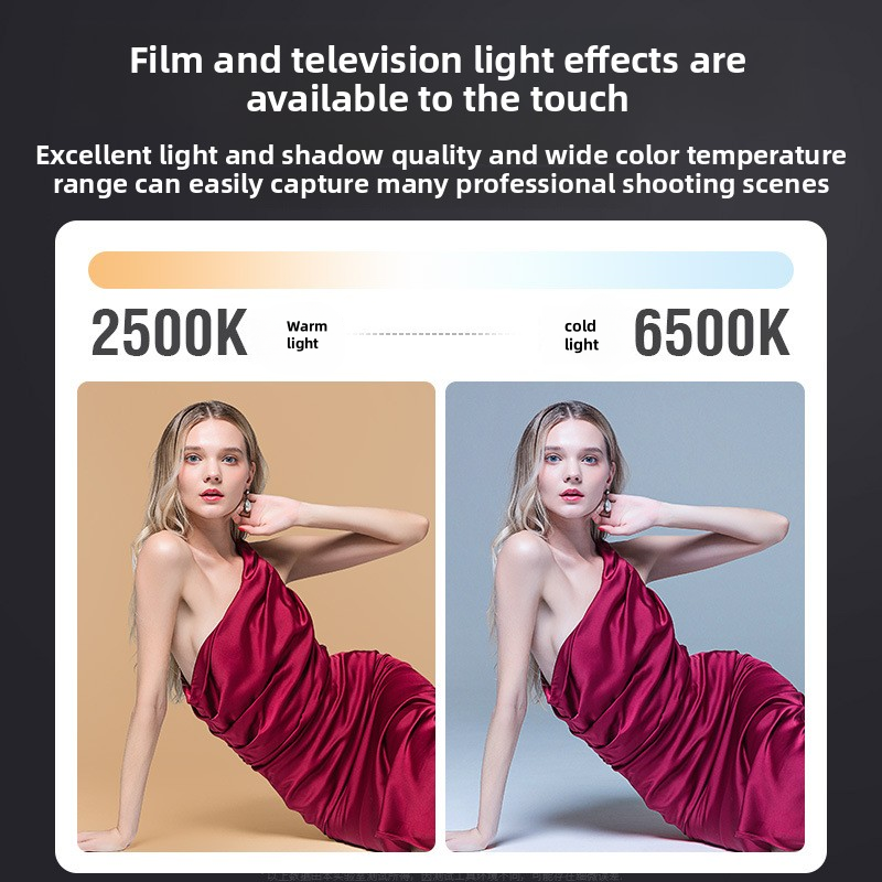 ZU80 High-Power COB Fill Light - Touch Dimmer Lamp 리뷰 및 가격