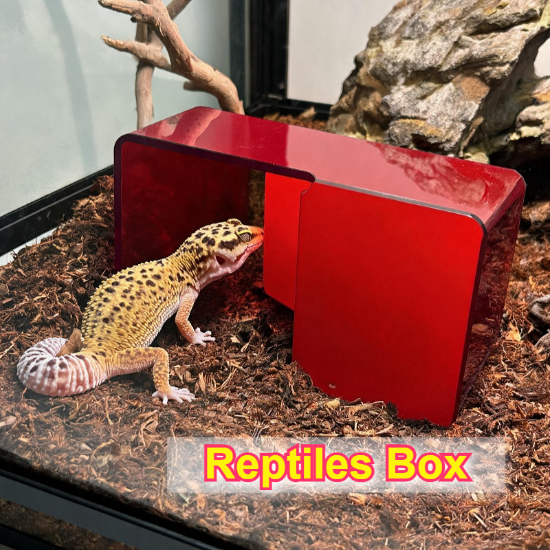 Red Acrylic Reptile Box Habita - Unique Lighting Decor 리뷰 및 가격