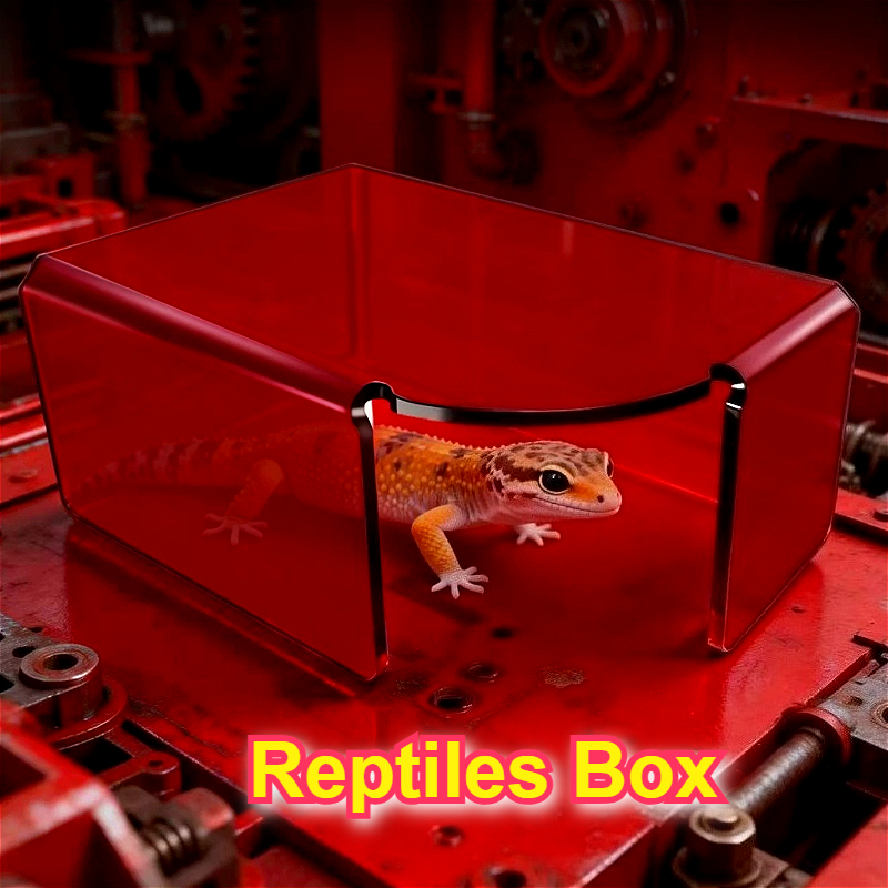 Red Acrylic Reptile Box Habita - Unique Lighting Decor 리뷰 및 가격