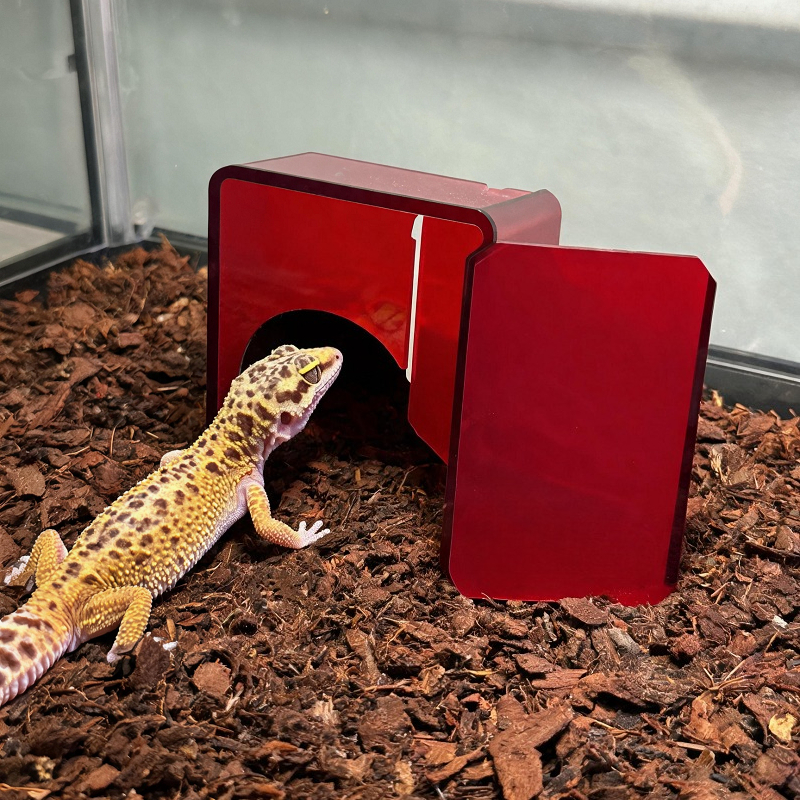 Red Acrylic Reptile Box Habita - Unique Lighting Decor 리뷰 및 가격