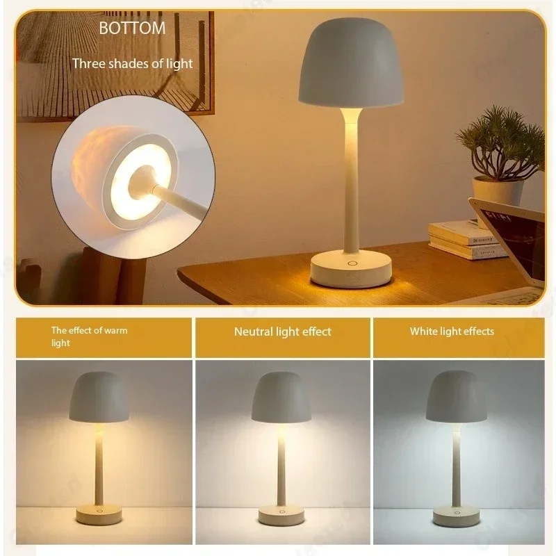 Night Light with Remote Contro - Decor Lighting Cy 리뷰 및 가격