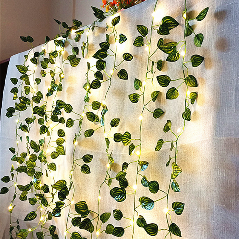 Wedding Decoration Battery Ope - Fairy Light Curtain 리뷰 및 가격