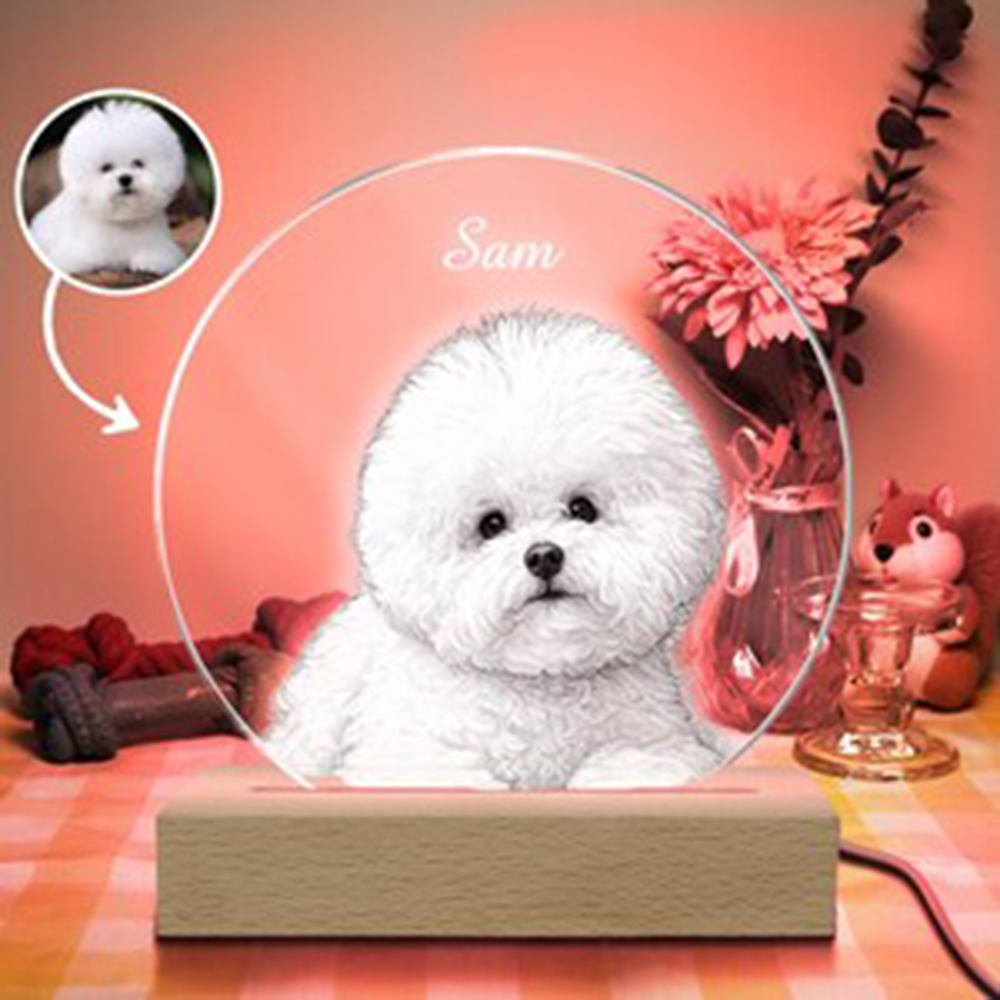 Pet Portrait Personalized LED  - Unique Lighting Decor 리뷰 및 가격