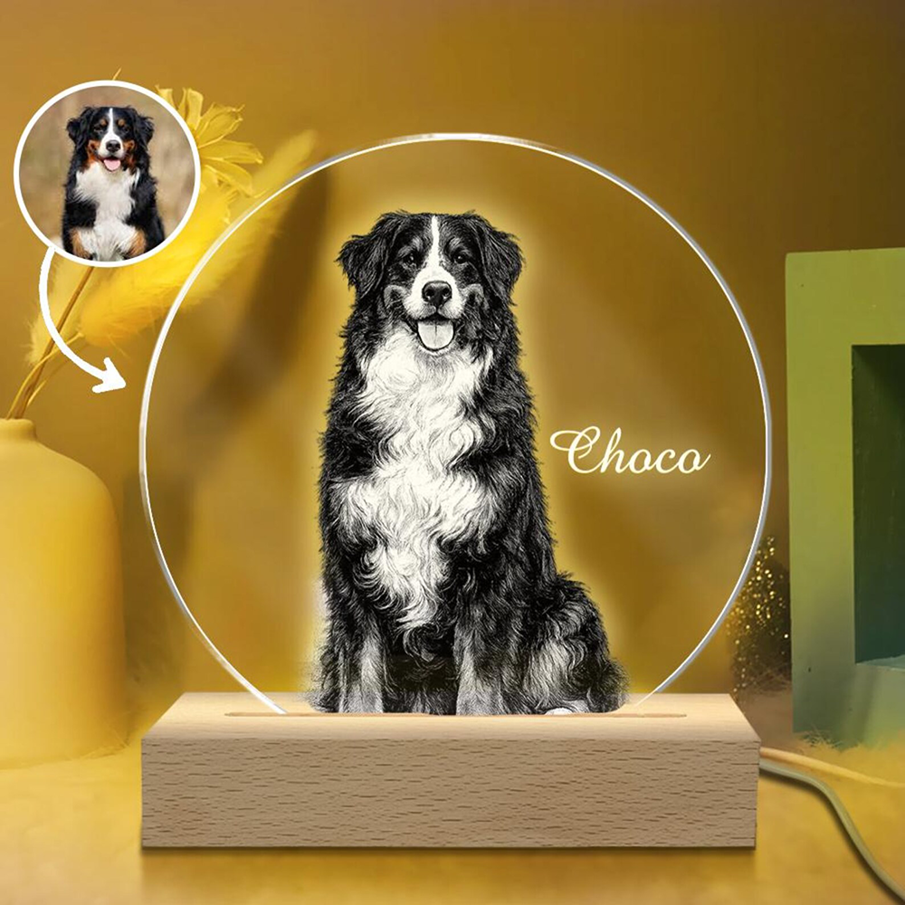 Pet Portrait Personalized LED  - Unique Lighting Decor 리뷰 및 가격